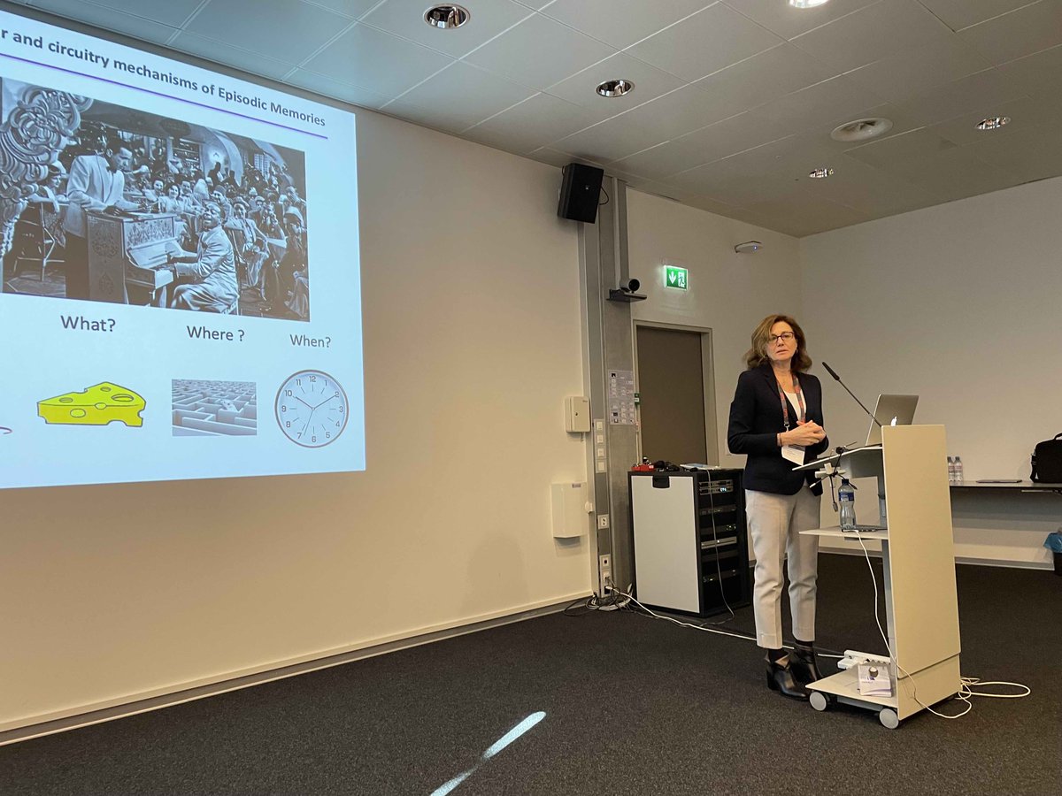 Christina Alberini presents recent advances made by her group on the progress towards understanding mechanisms of #memory consolidation and for translating these advances to treat neuropsychiatric diseases
#whatismemorysymposium2023