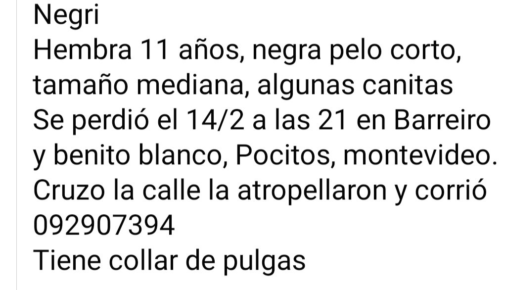 MatuNogueira's tweet photo. Se busca! Pocitos y alrededores. Contacto 092907394. Gracias por retwitear. https://t.co/ulzc9dD1FP