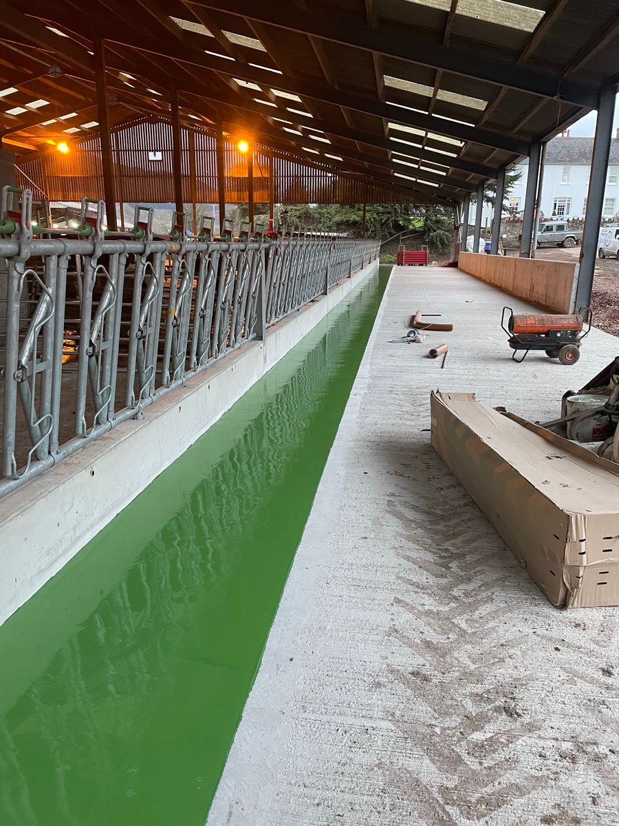 Feed passage coating Abergavenny. Clean plate for the moos.