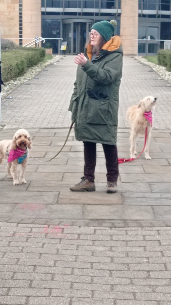 marymcarr1's tweet photo. Solidarity is pawsome! #dogsonpickets @ucustandrews https://t.co/EUvKHjTq7O