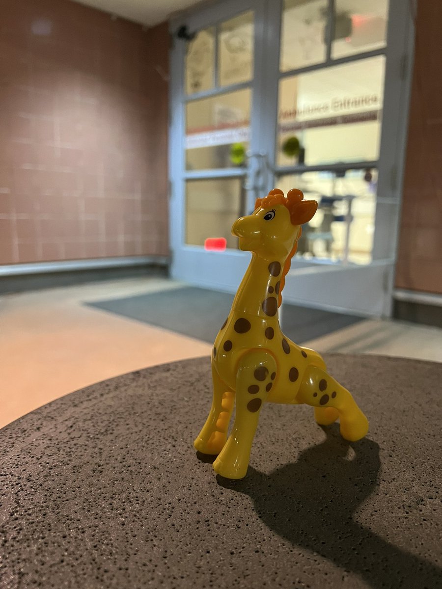 Rough shift but fantastic team in the Emergency Department at <a href="/radychildrens/">Rady Children's Hospital-San Diego</a> <a href="/RadyDocs/">RadyDocs</a> <a href="/PEMEMS/">Joelle Donofrio-Ödmann</a>   Better together!