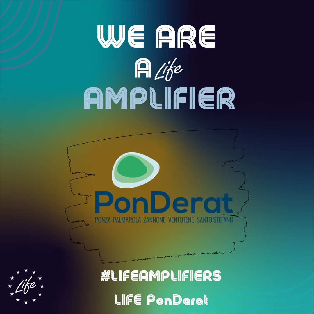 We're proud to be part of the #LIFEAmplifiers community! 🔊
We're committed to helping the #EU be greener and more sustainable!

#LIFEprogramme #LIFEproject #EUGreenDeal