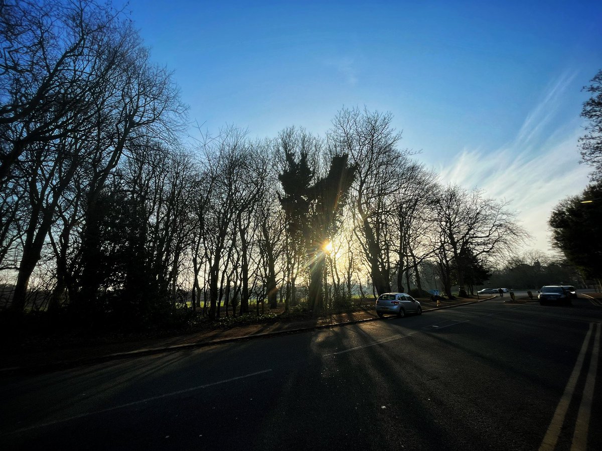jazaminsinclair's tweet photo. Trees 1, Sefton Park
#trees #seftonpark #clouds #sky #yellowlines #branches #blue #bluesky #blueskies #shadows #sun #light #spring #life #bright #wintersun #lowwintersun https://t.co/Js85RtrDVW