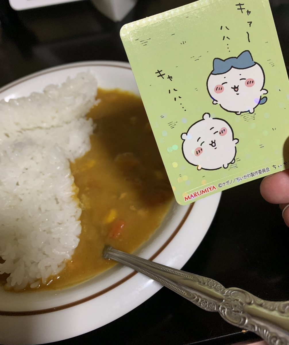 晩ごはんです 