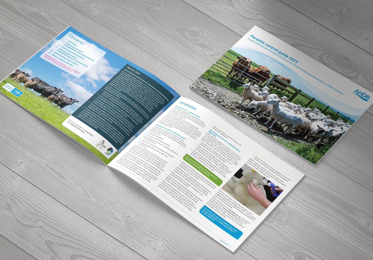 mdte – freelance studio support tweet media