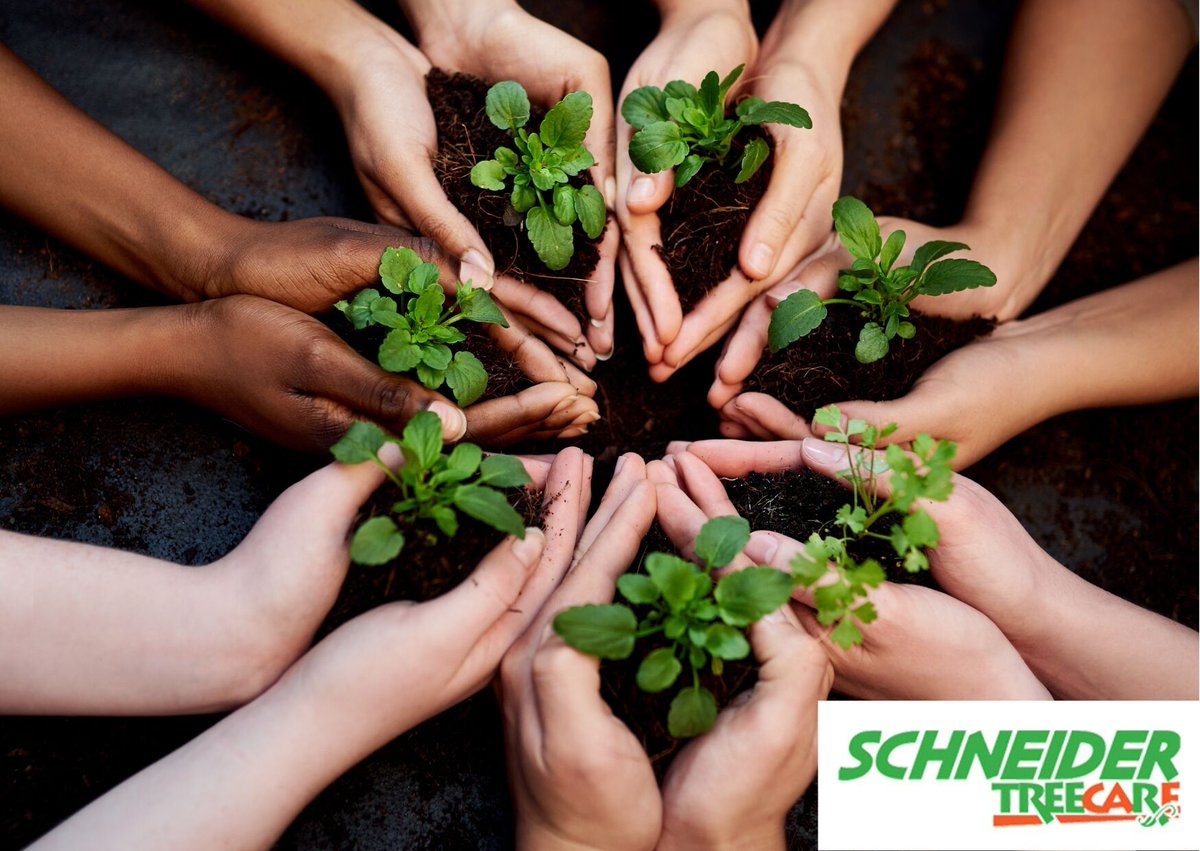 The Schneider Tree Care team believes in having each other's back through thick and thin. Putting our “Team First” is our mantra because Together, Everyone Achieves More. Learn more about us: bit.ly/3vnoSHv #SchneiderTreeCare #CoreValue #TeamFirst