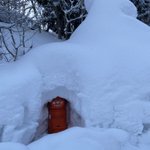 白布温泉　中屋別館不動閣のツイート画像