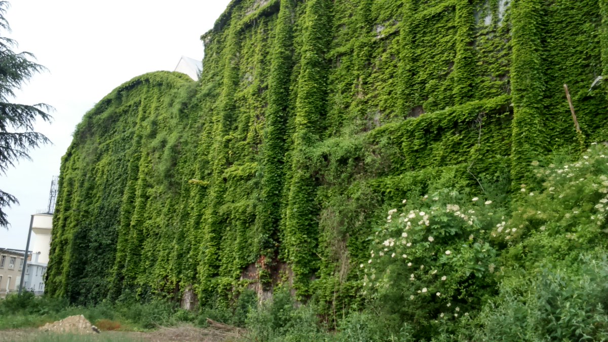 [Invitation] La rencontre des #friches 2023
🗓️ 9 mars | 13h30 - 17h | IPR
Un rdv pour faire le point sur les actions menées en <a href="/iledefrance/">Région Île-de-France</a> et sur les outils disponibles pour éclairer et accompagner les collectivités et porteurs de projets.
Inscription : institutparisregion.fr/amenagement-et…