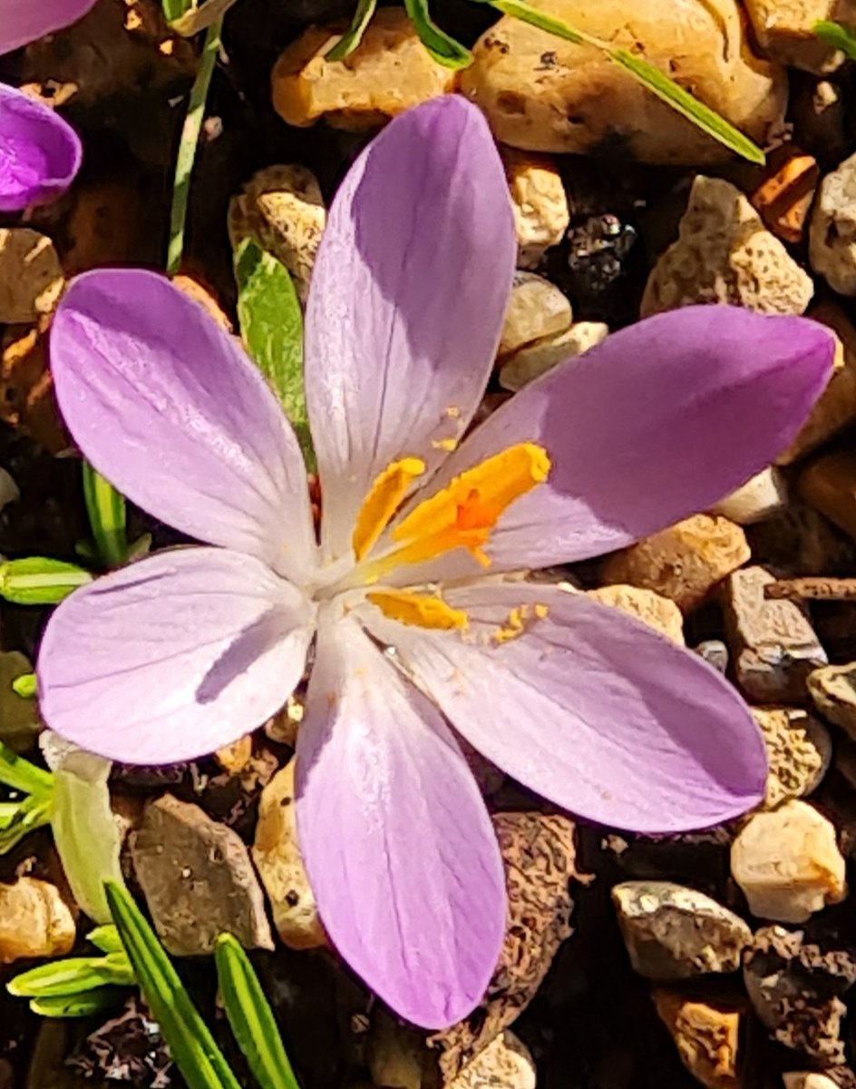 dizzyhall73's tweet photo. Spring is just around the corner. https://t.co/bwrVrnnbvZ