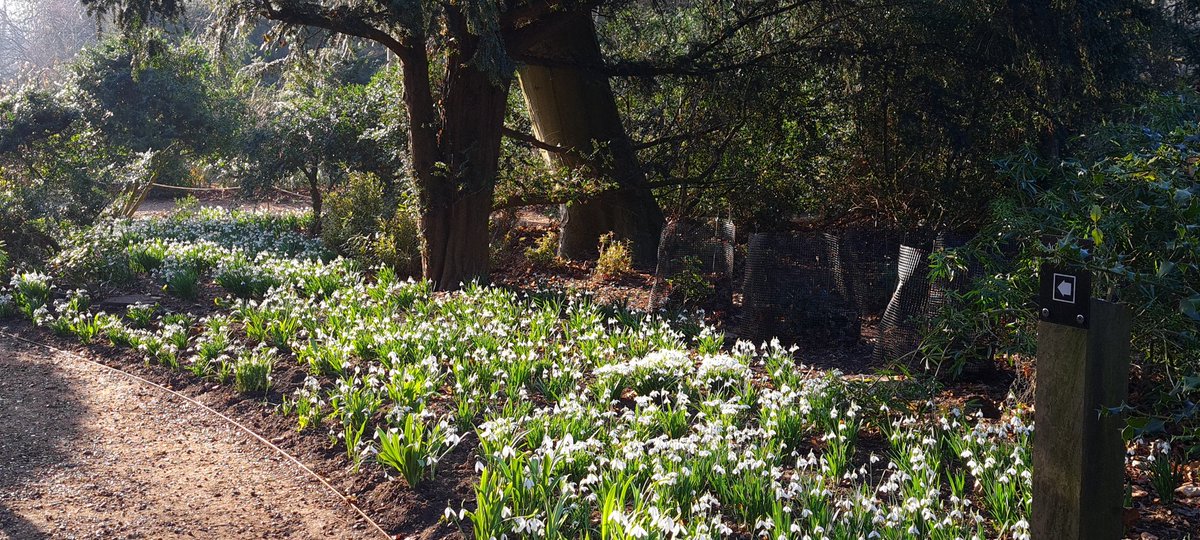 dizzyhall73's tweet photo. Spring is just around the corner. https://t.co/bwrVrnnbvZ