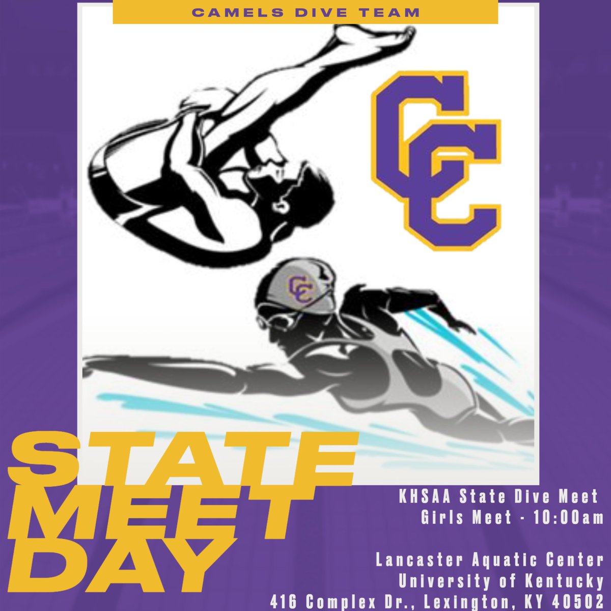 Best of luck to Grace Hedger as she competes in the 2023 KHSAA State Dive Championship Meet today in Lexington - GO GRACE!