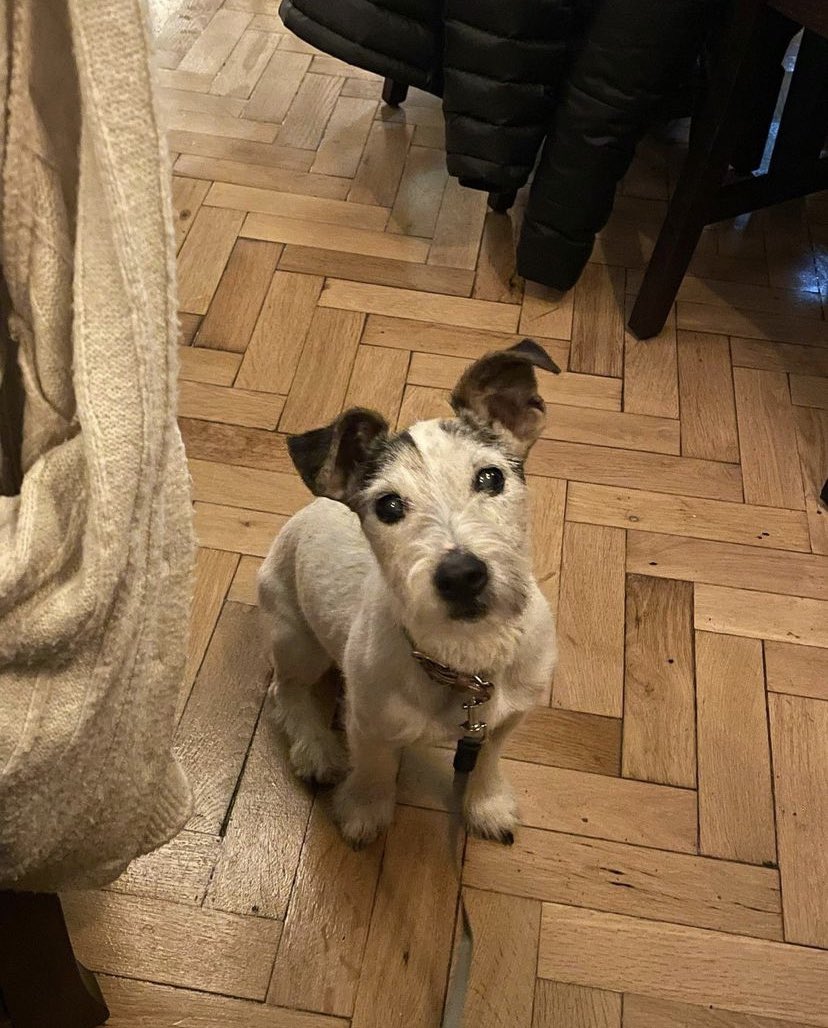 Our team got invited to the @cortillolounge open night last night! Thanks so much for having us and you certainly got Ruby’s seal of approval 😋

#Kendal #Cortillo #local #Lakesfood #Sales #Lettings #Localarea #Yum #Tapas #Southlakes #Cumbria