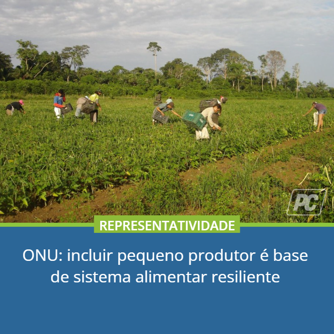pdcSaoMiguel's tweet photo. Tema foi debatido no maior evento global de ciência e inovação
https://t.co/f9L7LsuSmB
Leia matéria completa no site!
.
.
#noticias #valedoguaporé #portaldacidadesmg #pequenoprodutor #agriculturafamiliar https://t.co/MFlcawPmF3