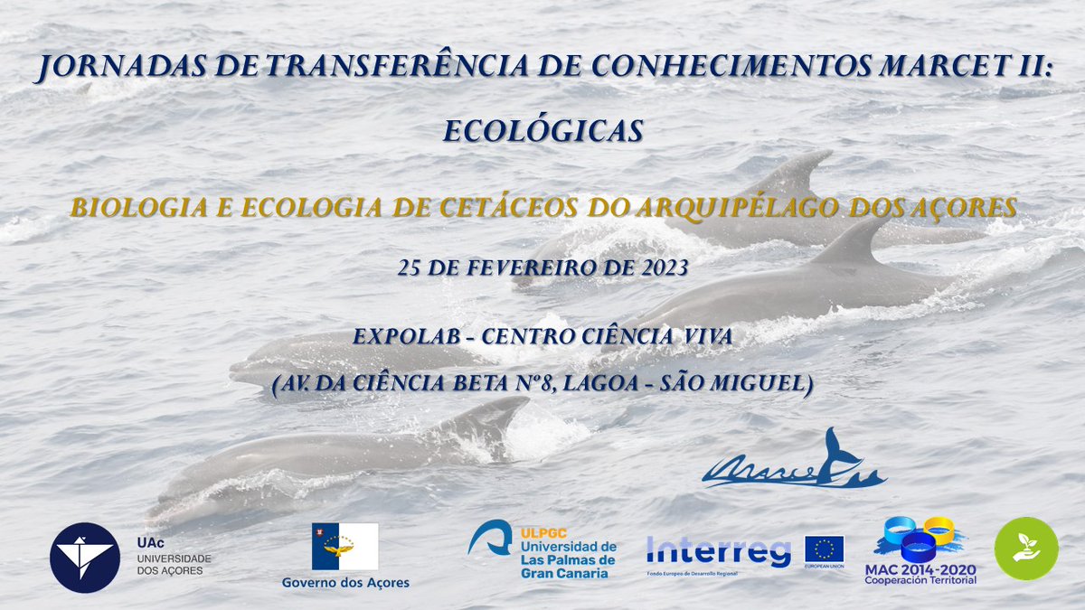 MARCET II tweet media