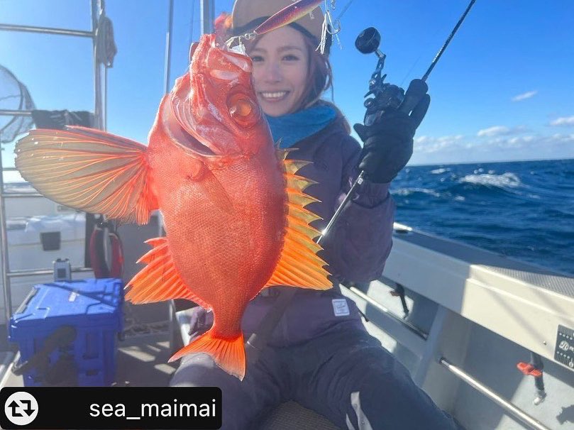 SeasonTackle's tweet photo. 【弊社製品での釣果情報のです🎣】
関西は大阪の釣りガール@sea_maimai 様よりおニューのロッドではじめましてのチカメキントキ💋@bluepier_captain
悪コンディションの中でも釣らせて頂きありがとうございました❤️🔥❤️🔥
#釣りガール
#釣り女子
#fishingtrip
#オルサ
#orusa
#シーズンフック https://t.co/ycNYK0MyRx