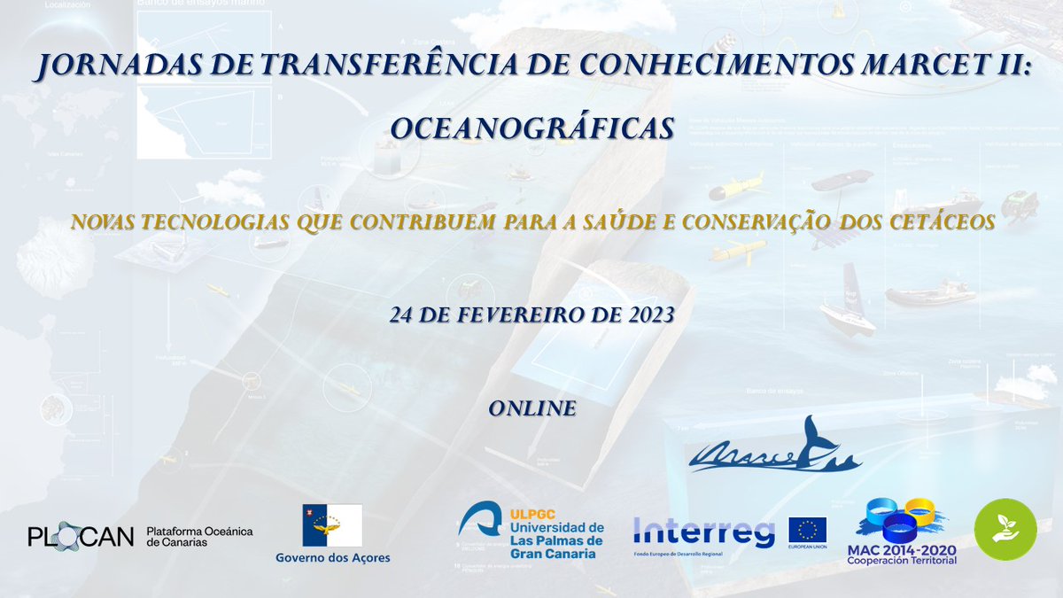 MARCET II tweet media