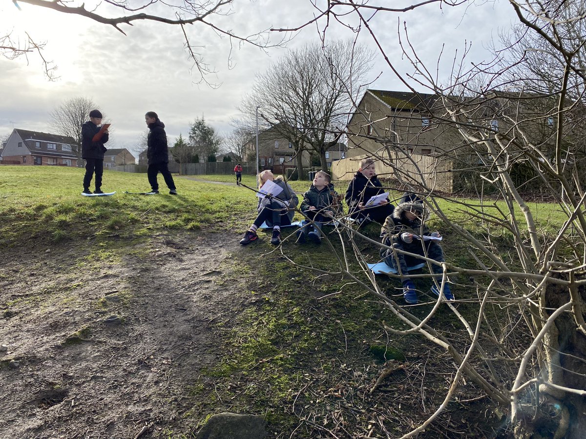 MrsR 👩‍🔬 P4 Teacher tweet media