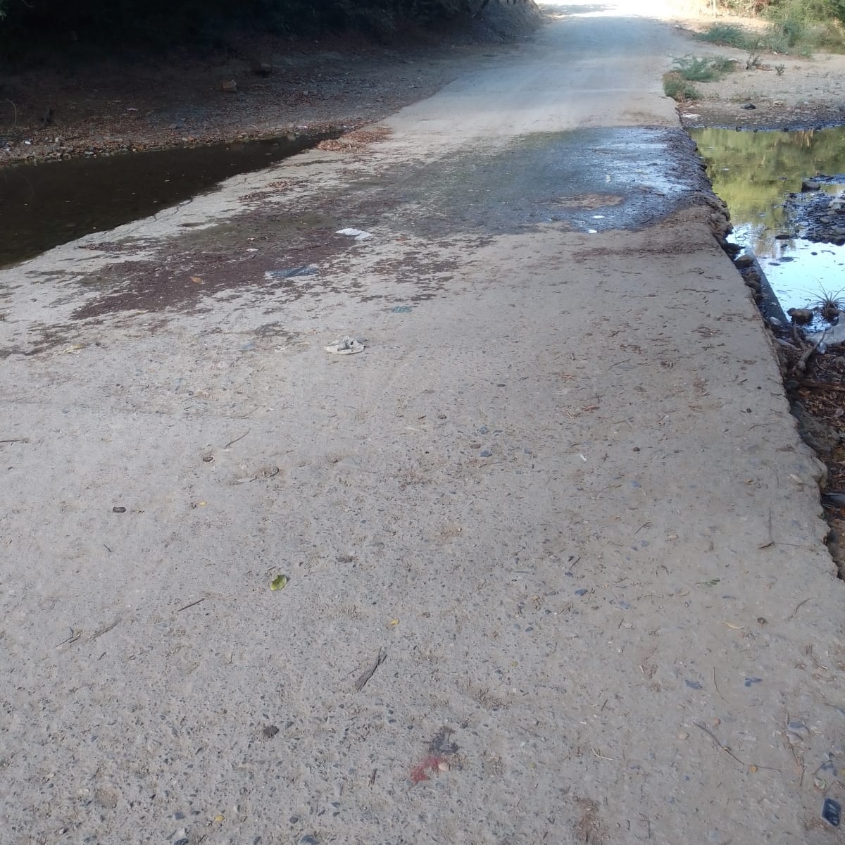 Raymundo Infante tweet media