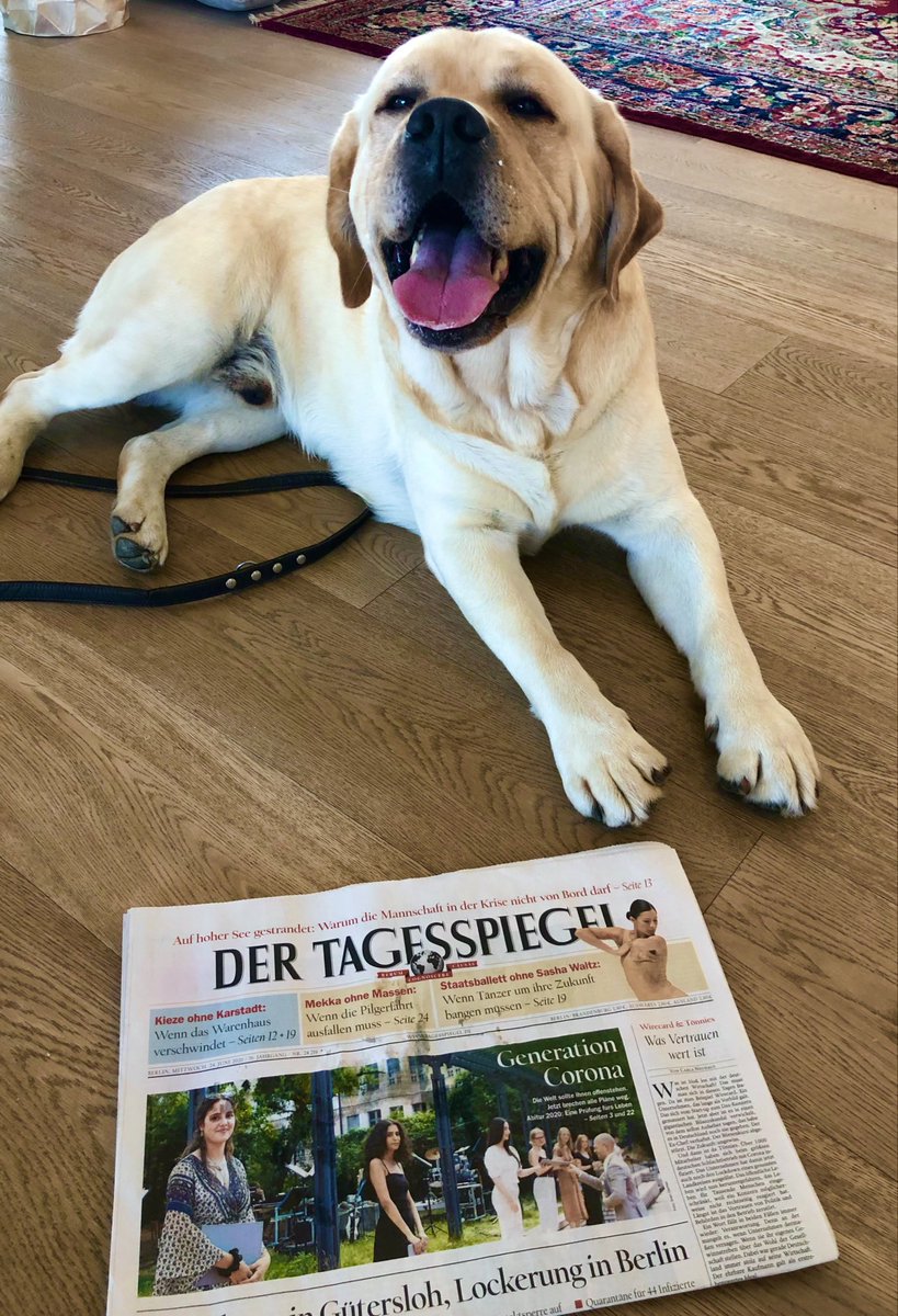 sarfeld's tweet photo. @EddaSchlager @PvonPempelfort @handelsblatt @smatthes Und wie. Ein Testimonial für unsere tolle, bunte, plurale Demokratie #printlebt #printwirkt https://t.co/H38LZN3evu