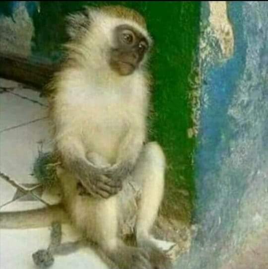 #BBTitan So we not gonna talk about the way Blue is abusing Olivia's wig.... kere gape yhooooo wiki yabatho