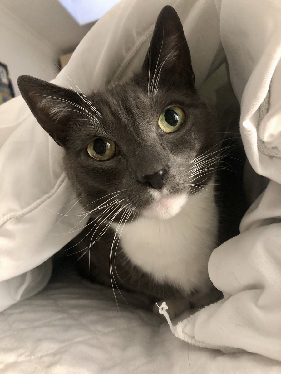 Ruuun!&Cycle tweet media