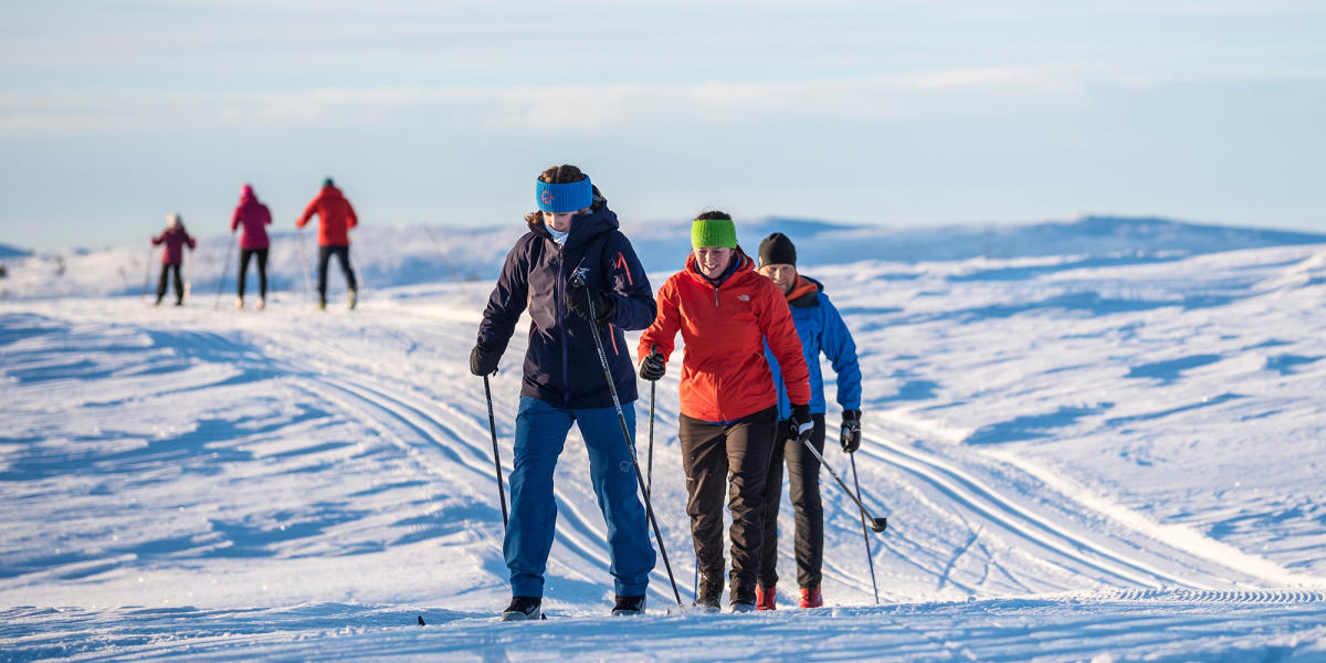 ✨❄️Fairy-tale forests. White views. Norway offers fantastic opportunities for cross-country skiing ⛷️👇
visitnorway.com/things-to-do/o… #norway #skiing