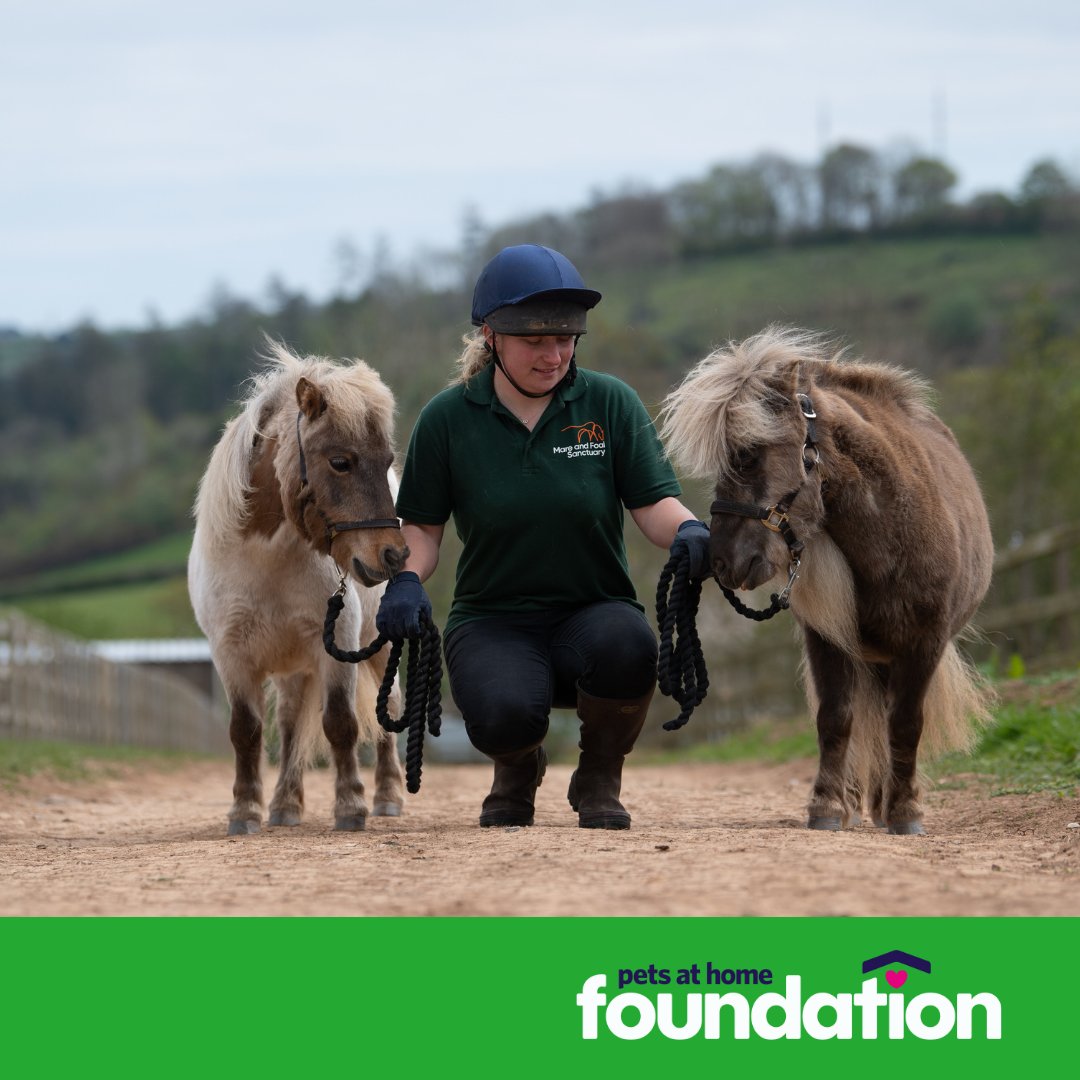 Pets Foundation tweet media