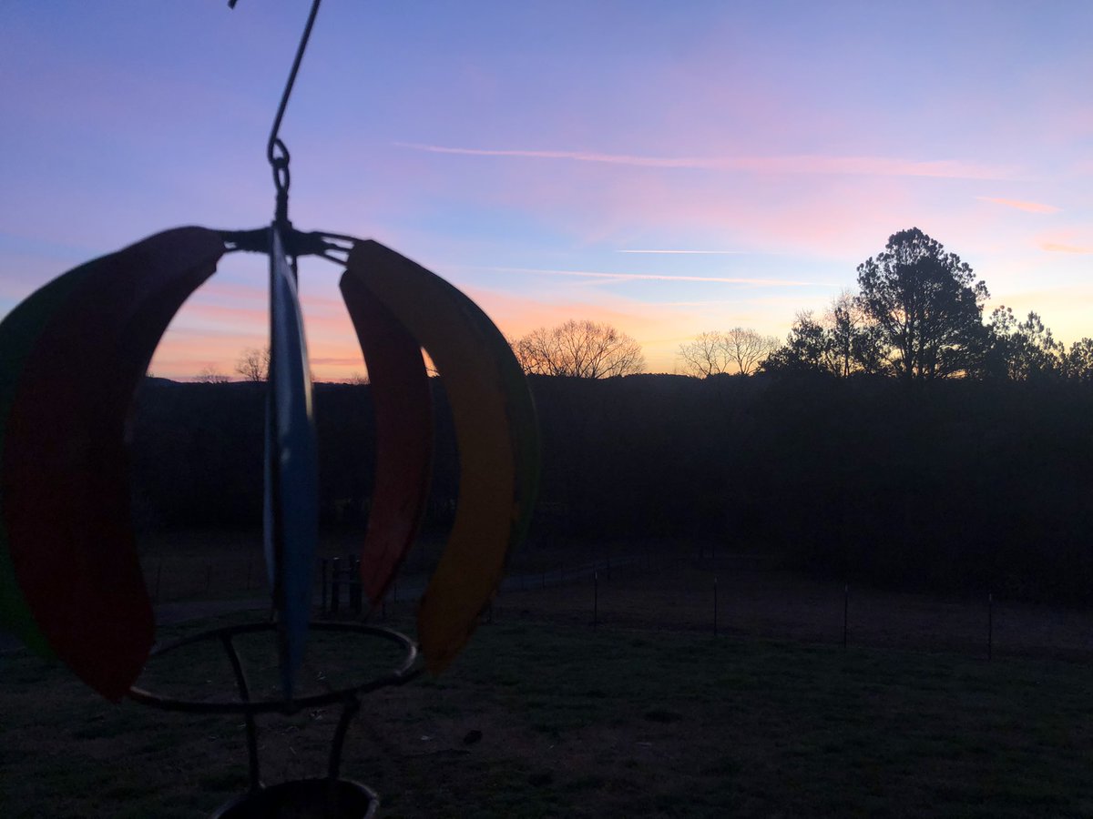 Happy Thursday furrbuddies … a morning view from the front porch of the sanctuary … keep your head up ❤️🐾🐾❤️