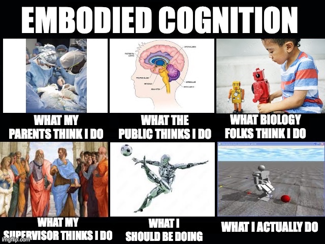 Federico Pigozzi tweet media