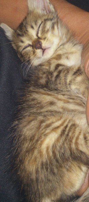 でかくなったね 