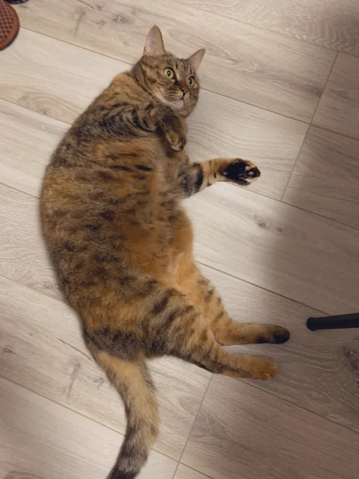 でかくなったね 
