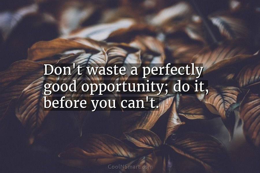 Nadine Masferrer tweet media