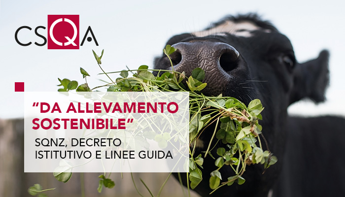 CSQACert's tweet image. Con il "Sistema di qualità nazionale #zootecnia" il @SocialMasaf istituisce il regime di #qualità, che #certifica le aziende agricole, i prodotti agricoli e i prodotti alimentari di provenienza #zootecnica 👉bit.ly/3S5QETd

#sostenibilità #certificazione #SQNZ