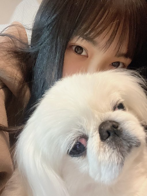 Twitterのコスプレ画像14