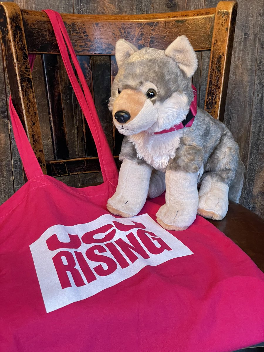 drmpWOLF's tweet photo. Virginia is in session: why are we striking? @WolvesUCU #ucuRISING #EndPrecarity #endGenderEthicityRacePayGap #Respect #FairPay #FairWorkingConditions @ucu @DrJoGrady https://t.co/Z6WUqEqjrB