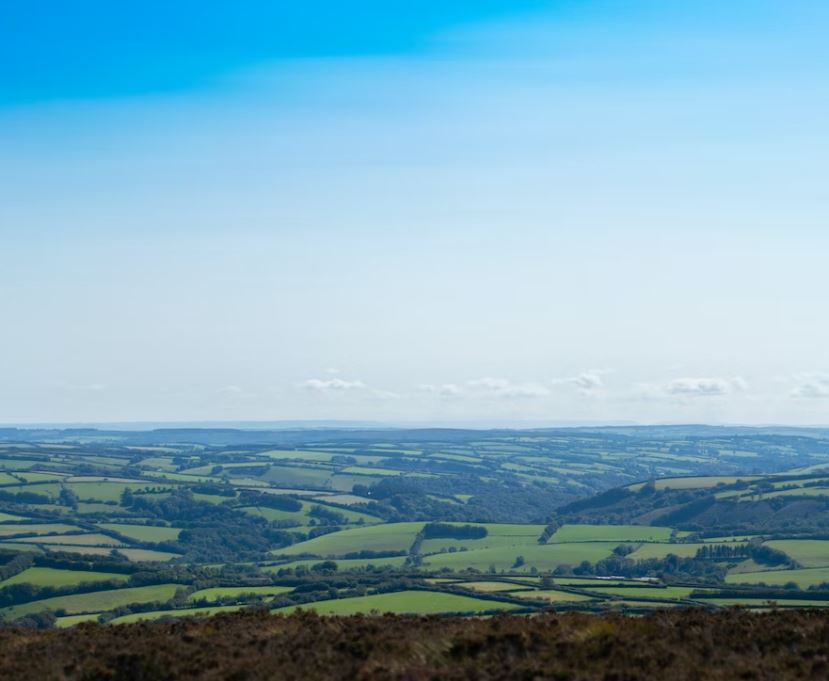 WeAcceptPets's tweet photo. Partridge Arms was once a coaching inn and today provides bed and breakfast on the southern foothills of Exmoor National Park.
https://t.co/KkURRw6Wc5
#SouthMolton #Devon #CoachingInn #BedandBreakfast #ExmoorNationalPark #Walking #PetsWelcome #Farmland #Rivers #Forestry https://t.co/1PiXJppmhe