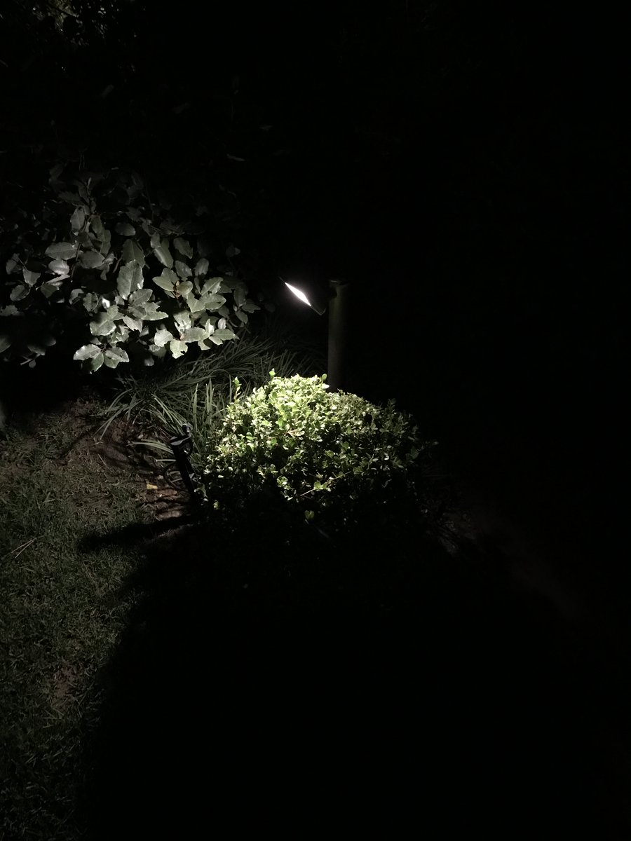 Eclairage extérieur, buisson, vegetation
#domolighting #eclairageexterieur #outdoorlighting #lumiere #eclairage #lighting