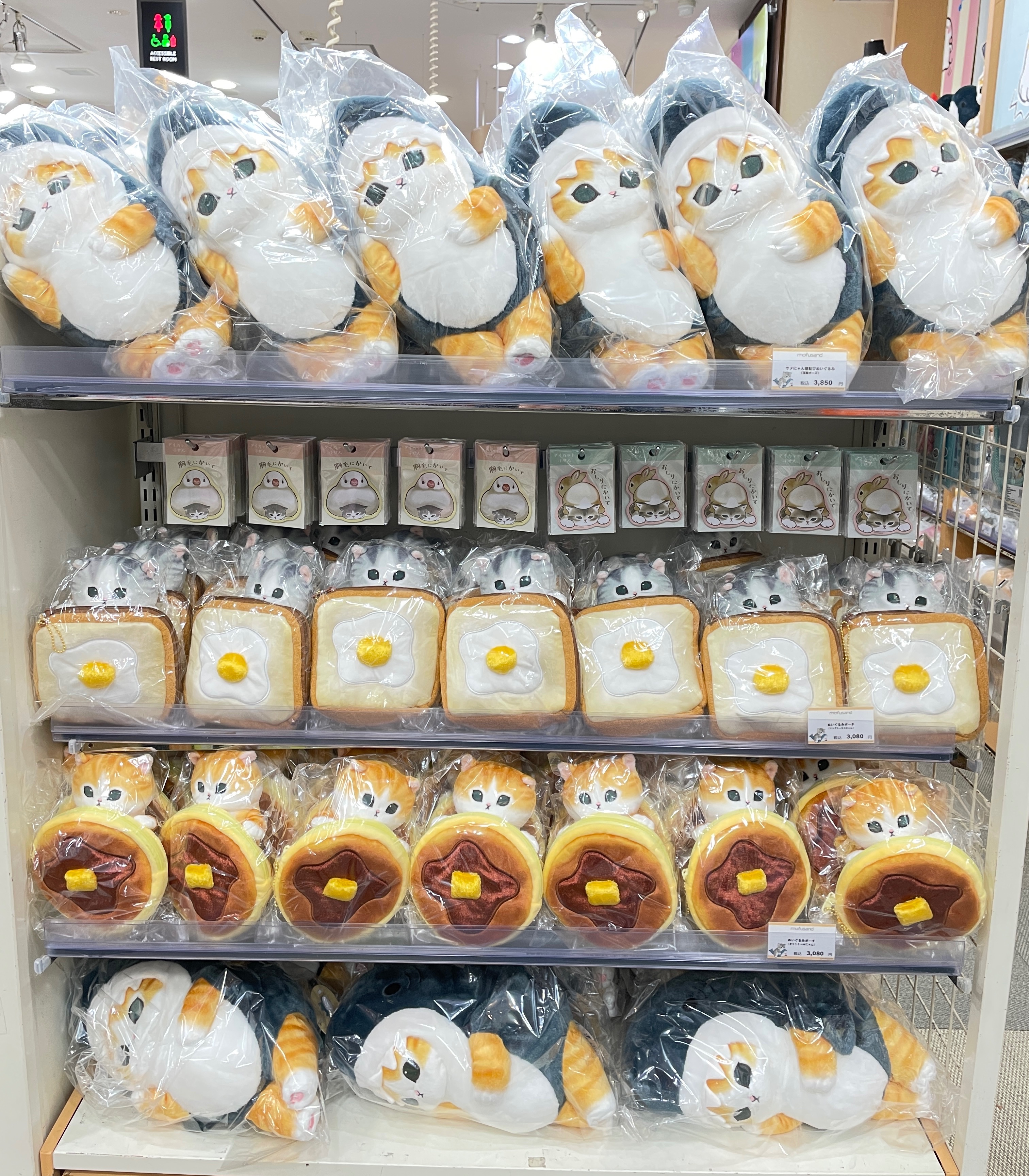 モフサンド　ぬいぐるみ mofusand サメにゃんもちもち抱っこぬいぐるみ | mofusand