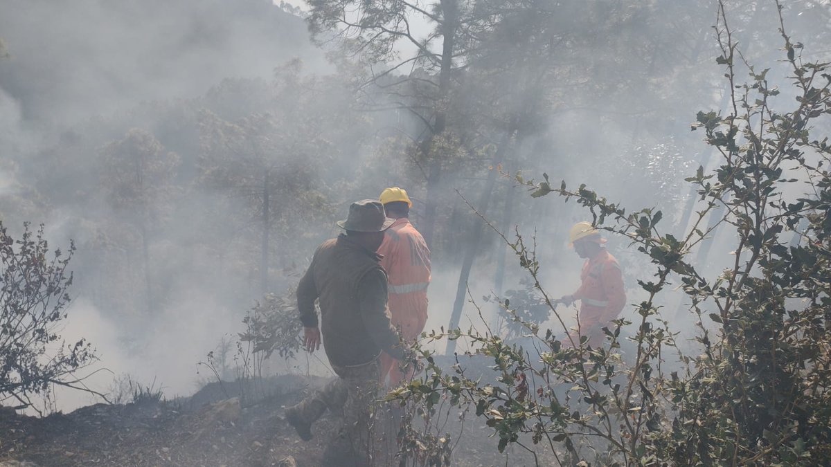 casfosddn's tweet photo. On 16.02.23, Control Burning exercise was conducted by the 1st group of @NDRFHQ 15 Bn of the ongoing 2-week training Forest Fire Prevention and Mitigation Strategies @casfosddn in Chir Forest region near Nali area under the Mussoorie Forest Division.
#ForestFirefighting https://t.co/ieVf2V1qIh