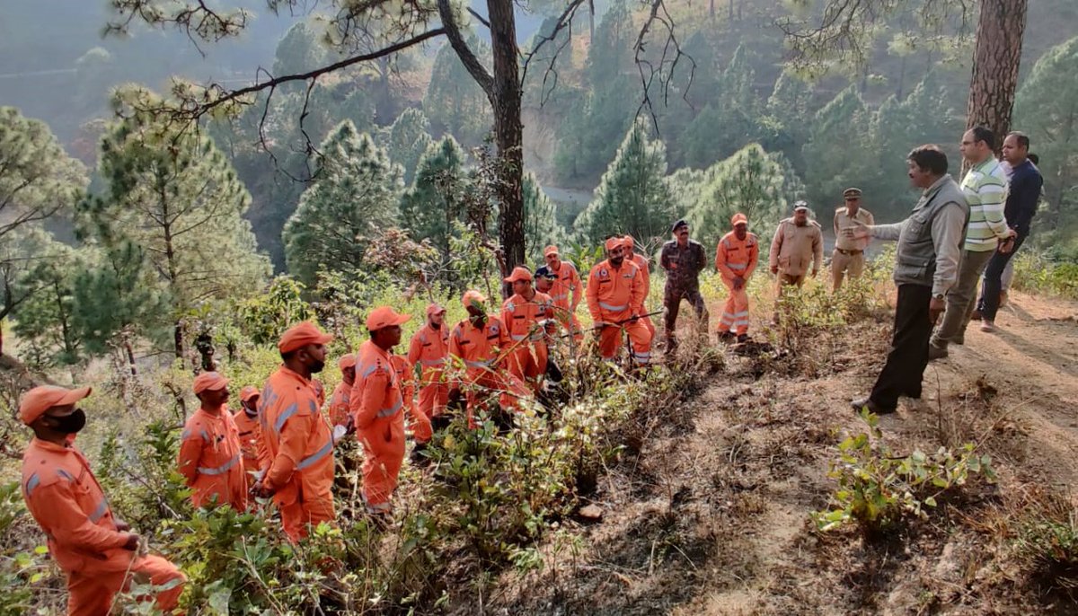 casfosddn's tweet photo. On 16.02.23, 2nd group of @NDRFHQ 15 Bn of the ongoing 2-week training on Forest Fire Prevention and Mitigation Strategies @casfosddn performed Counter Fire, Controlling Burning, and Wild Fire Prevention exercise in Kirtinagar Range, Narendra Nagar FD.
#ForestFirefighting https://t.co/57LMyNYBe7