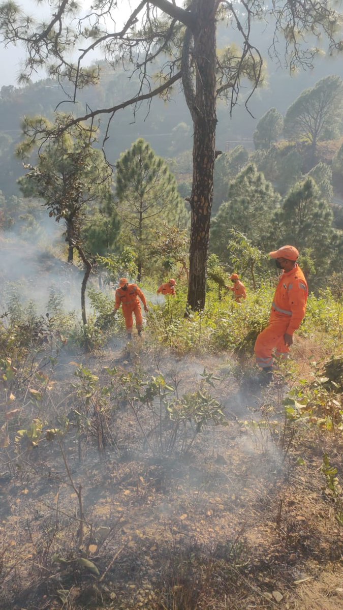 casfosddn's tweet photo. On 16.02.23, 2nd group of @NDRFHQ 15 Bn of the ongoing 2-week training on Forest Fire Prevention and Mitigation Strategies @casfosddn performed Counter Fire, Controlling Burning, and Wild Fire Prevention exercise in Kirtinagar Range, Narendra Nagar FD.
#ForestFirefighting https://t.co/57LMyNYBe7