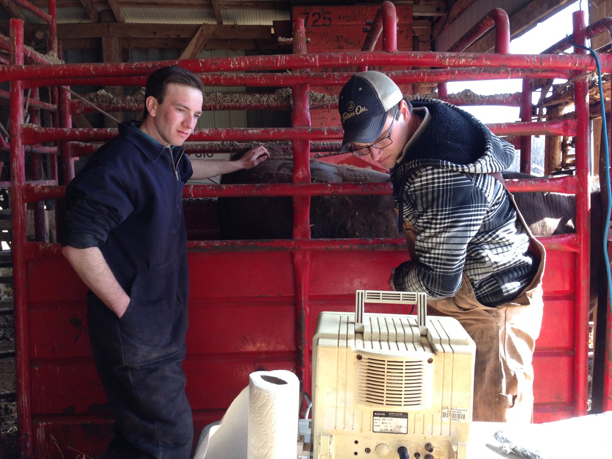 With last years #calf crop reaching a year old, it's the best time for carcass ultrasound measurements! Our latest &amp; most accurate ultrasound equipment is available to provide our clients with timely &amp; precise info. Contact us today to book your ultrasound tech- agsights,com