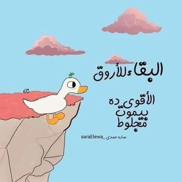 mina_maximous's tweet photo. https://t.co/E0CcjNoKxQ