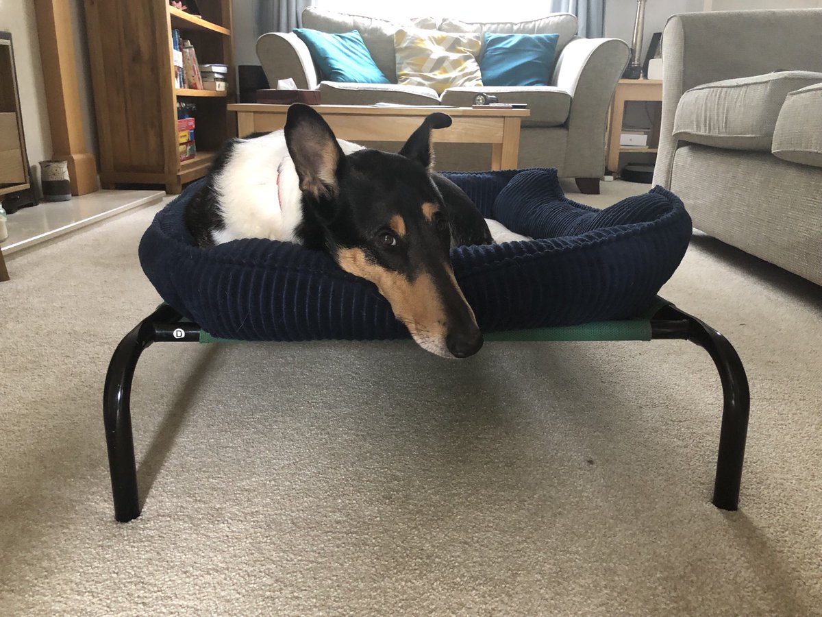 The face that was denied a rasher of bacon 🥓