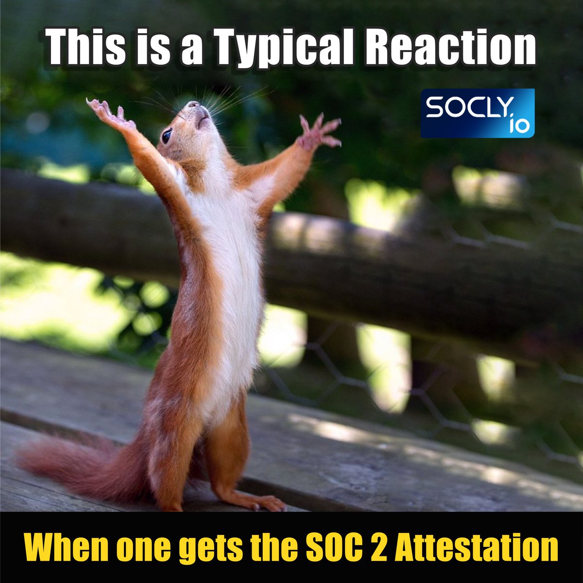 SOCLY.io tweet media