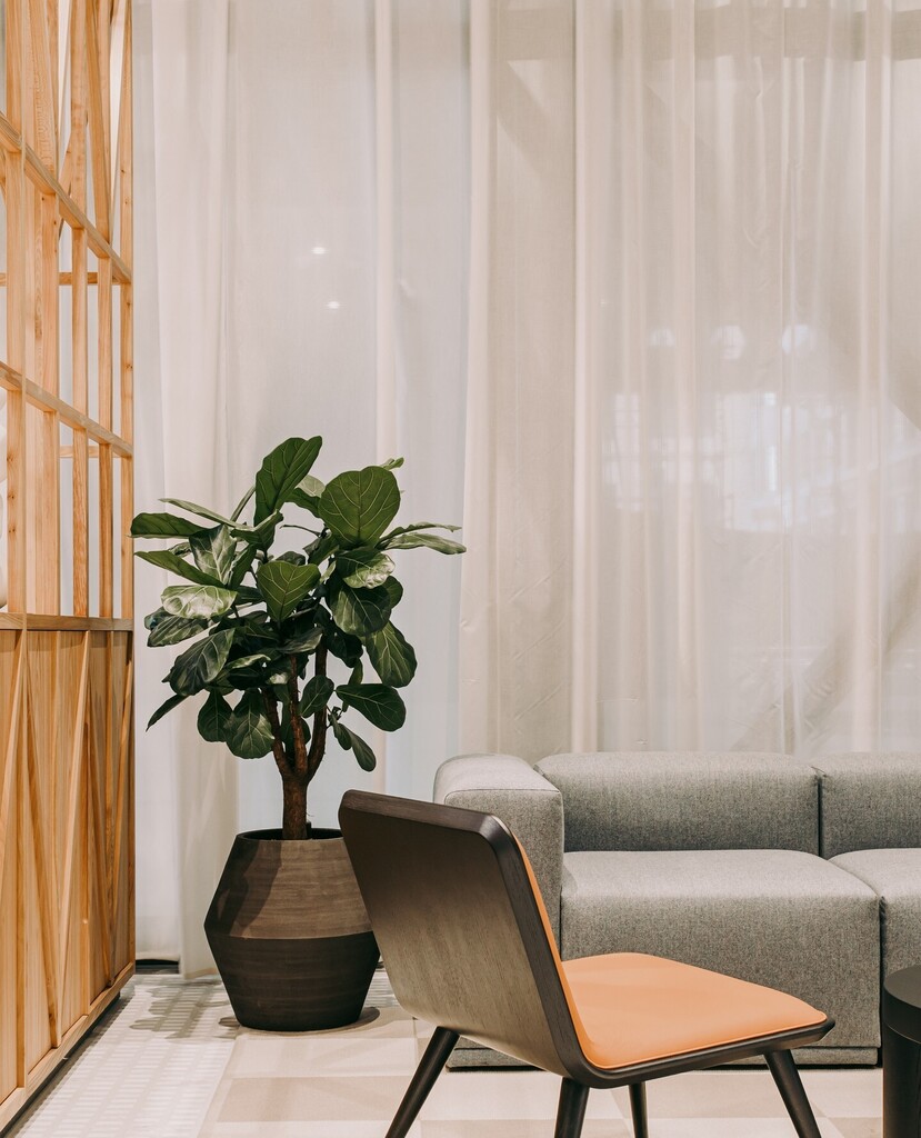 Plant inspiration: Standalone Planting⁠
⁠
Sometimes, finishing off an interior scheme is as simple as adding some standalone planting. The small addition of colour, texture and organic shape can create a huge impact on corners of space and make them … instagr.am/p/CouPniLN067/