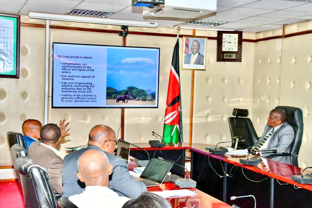 State Department For Forestry Kenya tweet media