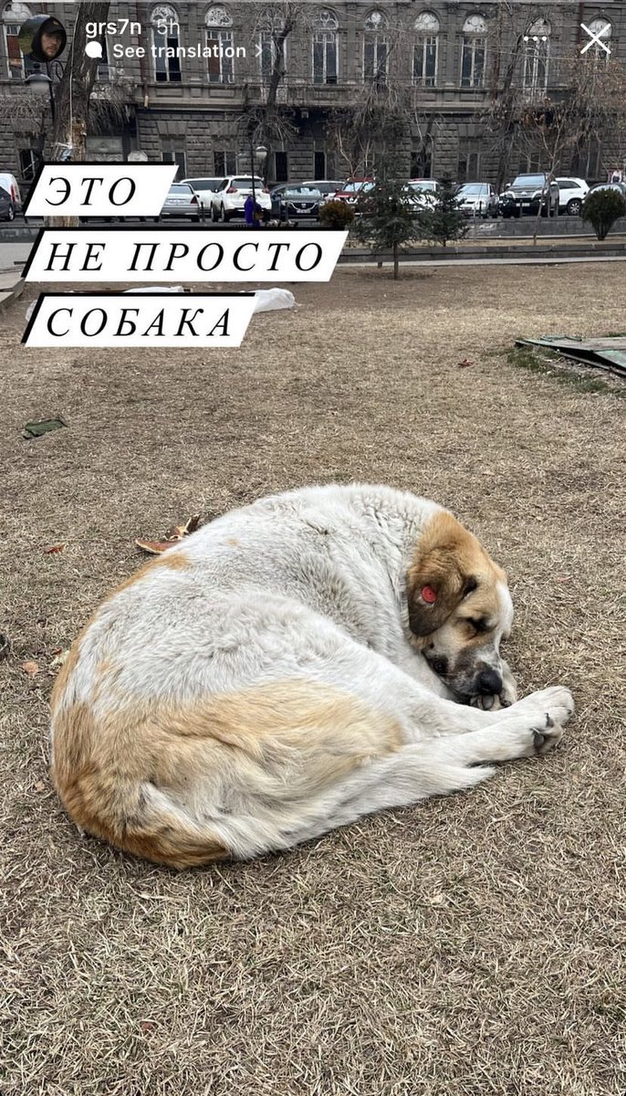 voruy_ubivay's tweet photo. теперь Ереван мой самый любимый город. https://t.co/zMOstb1ctn
