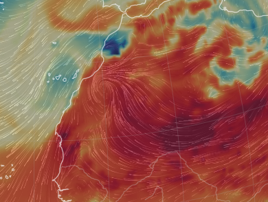 Very interesting wind patterns from the Sahara exiting at two distinct points on the west coast into the clockwise circulating HP cell ovr the Azores.
