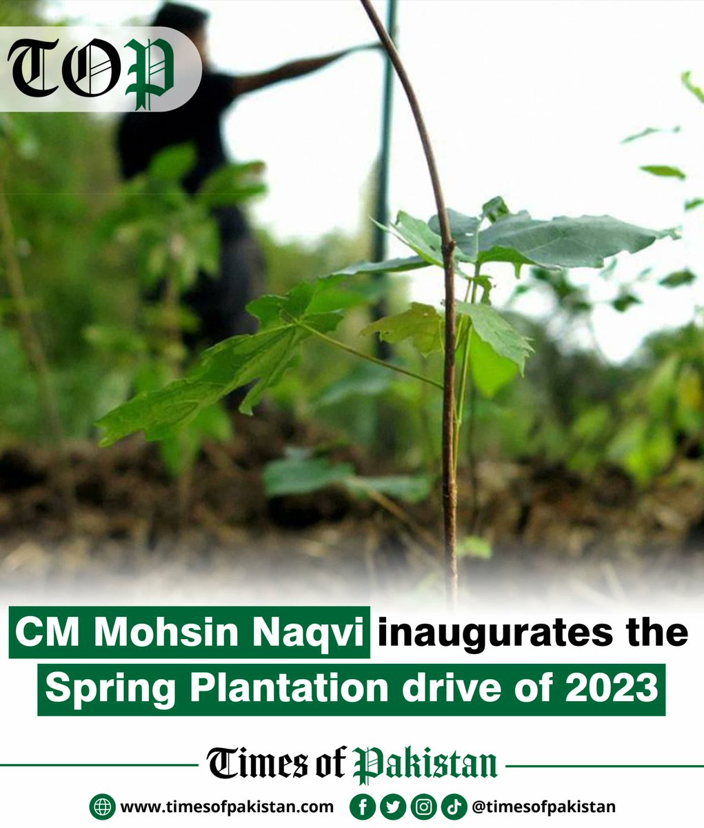 timesofpakistan's tweet image. CM Mohsin Naqvi inaugurated the Spring Plantation drive of 2023 by planting saplings of bottle palm trees in his office. He said that 30m saplings would be planted throughout Punjab during this drive.

#MohsinNaqvi #SpringPlantationDrice2023 #SpringPlantation  #Punjab